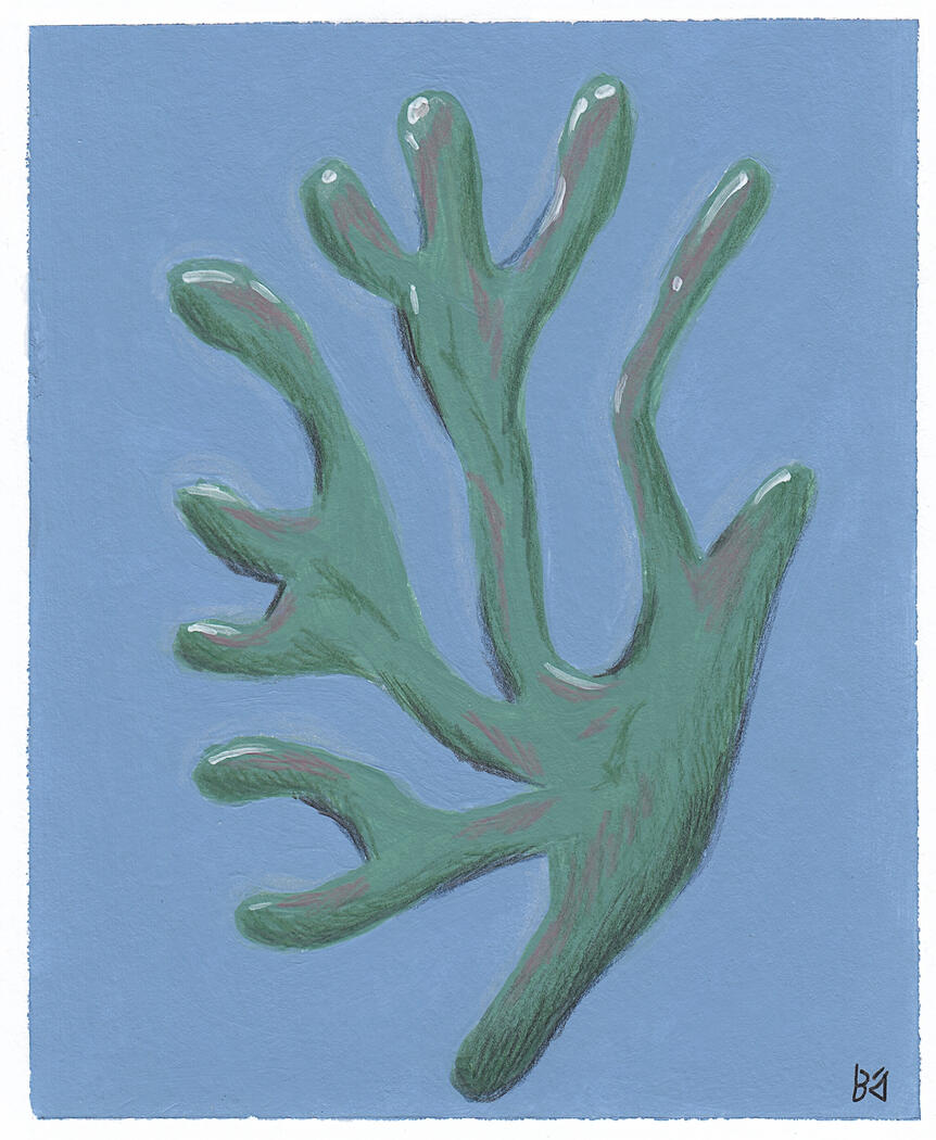 Acrylic and color pencil illustration of an algae
