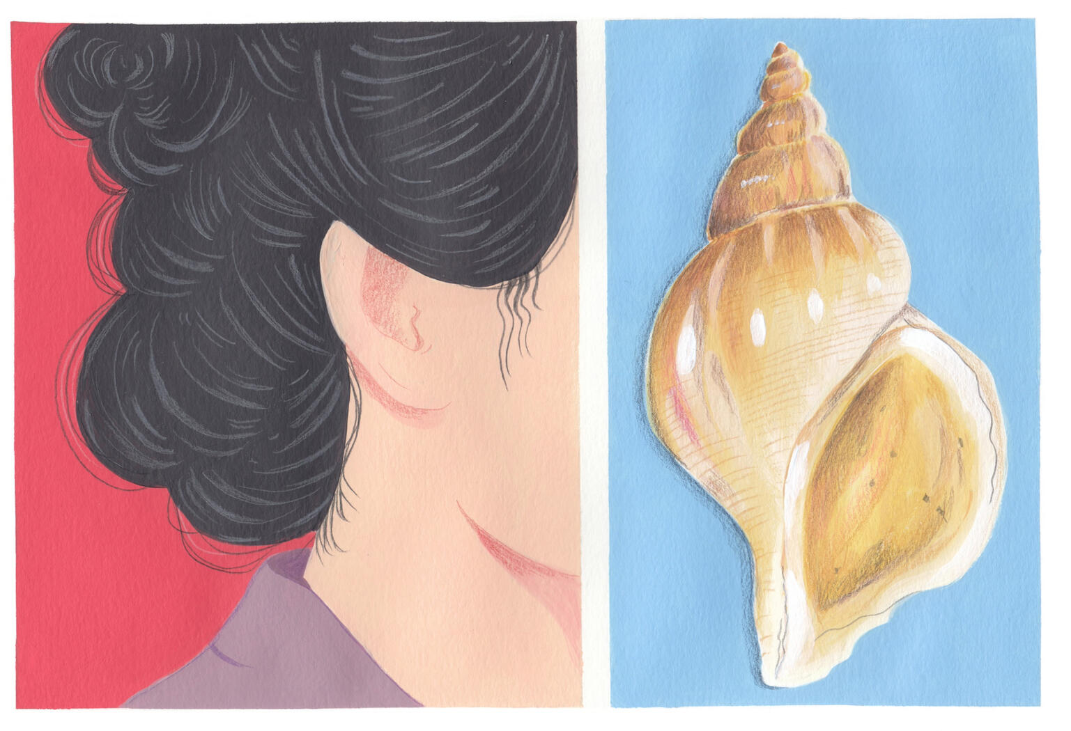 Acrylic and color pencil illustration of a hear and a seashell